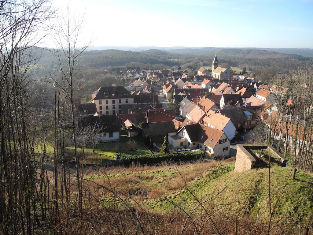Au Pied Du Chateau Lichtenberg الغرفة الصورة