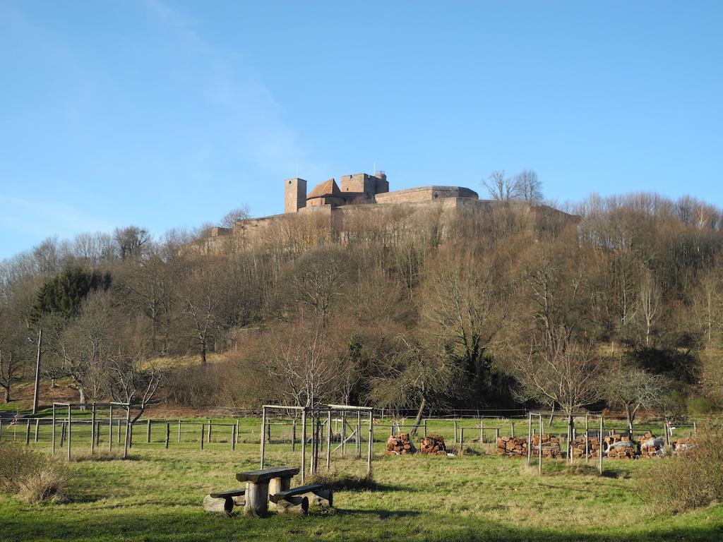 Au Pied Du Chateau Lichtenberg الغرفة الصورة